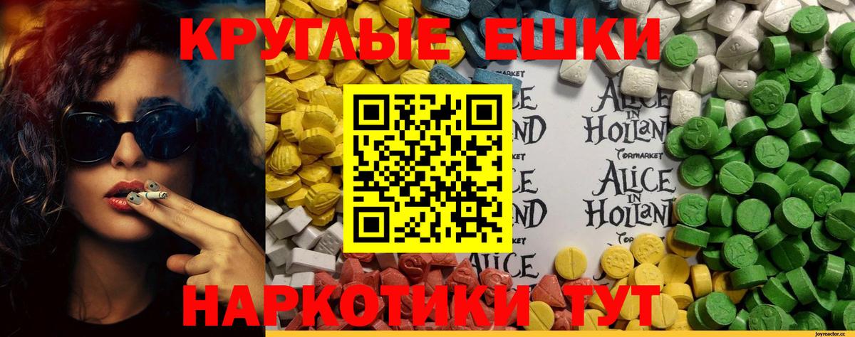 ЭКСТАЗИ бентли Аша