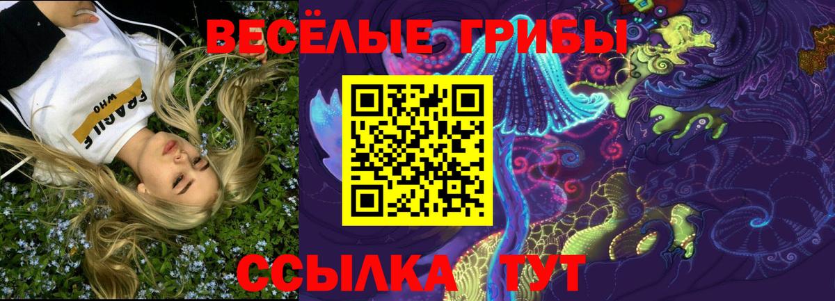 Псилоцибиновые грибы Cubensis  Вход с VPN  Галлюциногенные грибы прущие грибы  Аша 
